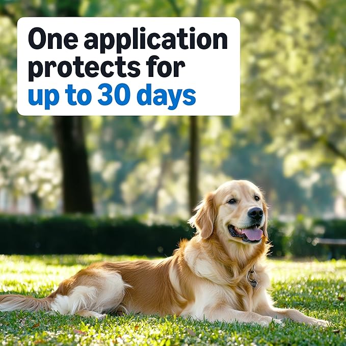 Amazon Basics Flea and Tick Topical Treatment for Medium Dogs (23-44 lbs), Fast Acting and Long Lasting, 3 Count, Packaging May Vary