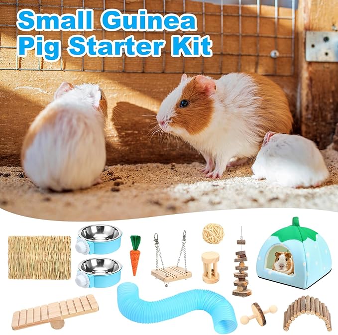 Youyole 13 Pcs Guinea Pig Starter Kit Hamster Toys Bed Guinea Pig Cage Accessories with Tunnel Grass Mats Pet Food Bowl for Christmas Chinchillas Hedgehogs Ferrets Rabbit Hideout Essentials(Blue)