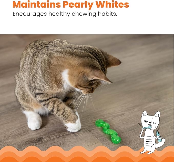 Petstages Orkakat Wiggle Worm Dental Catnip Cat Chew Toy