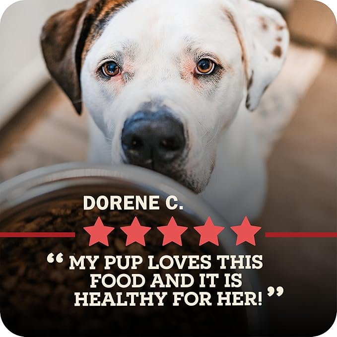 Redbarn Powerfood Air Dried Dog Food Lamb & Fish Recipe 2 lbs - High Protein Skin & Coat Support with Omega-3s Natural Premium Dry Food for Adult Dogs Made in USA