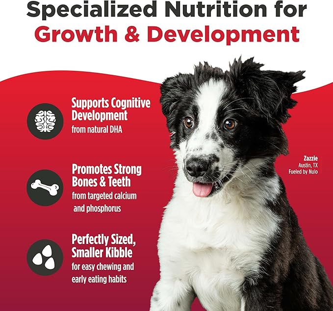 Nulo Freestyle Dry Puppy Food - Salmon & Peas, Premium Grain Free Dog Food for Puppies, Natural, High Protein Kibble with DHA, Omega 3 & Probiotics, for Small and Medium Breeds, 26lb Bag