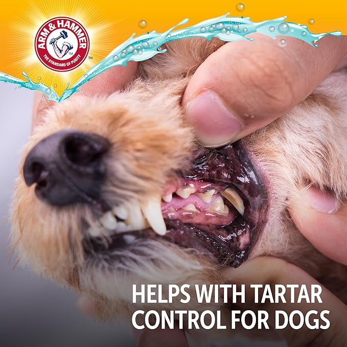 Arm & Hammer Complete Care Dog Dental Water Additive, Odorless Flavorless Daily Oral Care Solution with Baking Soda and Calcium for Plaque, Tartar, and Fresh Breath, 16 Fl Oz