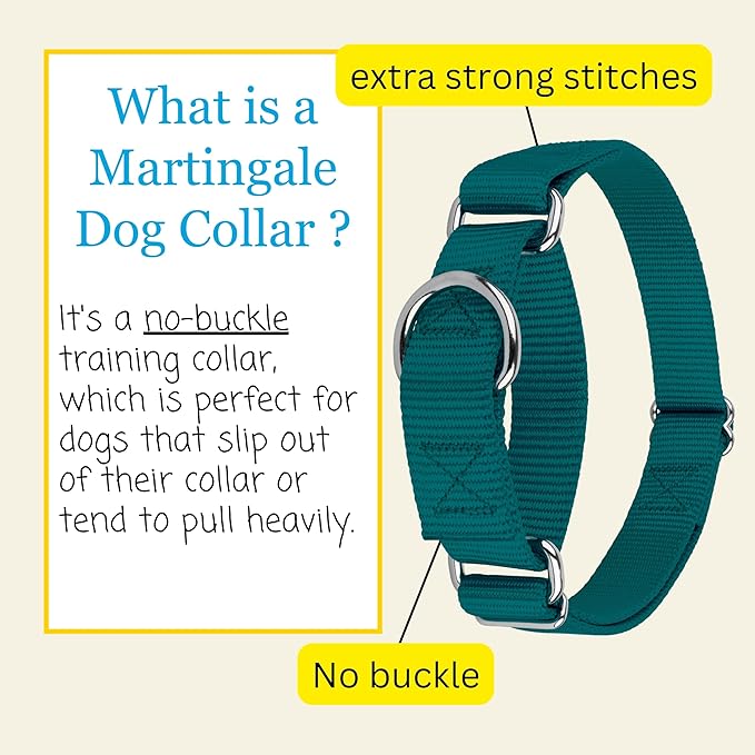 Country Brook Petz - Martingale Dog Collar - Heavy-Duty Training Collar with No Buckle - Service Dog Collar for All Pups - 20 Vibrant Colors (Teal, 3/4 Inch, Small)