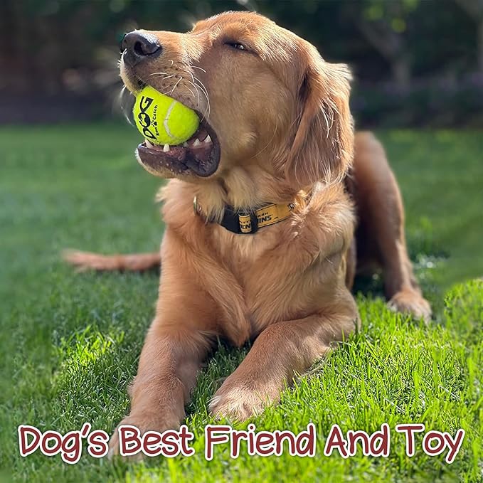 INSUM Squeaky Dog Balls - Squeaky Tennis Balls for Dogs, Multicolor | Medium - 2.5'', 20Pack