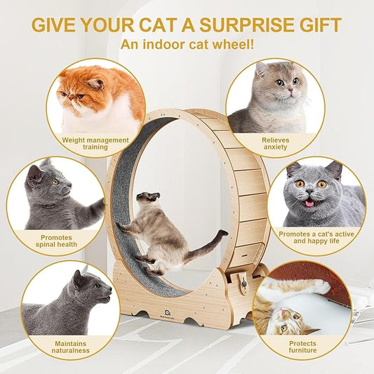 Cat Exercise Wheel, 43" L Large Cat Treadmill with 7:3 Golden Ratio Design, Quiet and Sturdy Running Wheel with Detachable Carpet for Indoor Cats