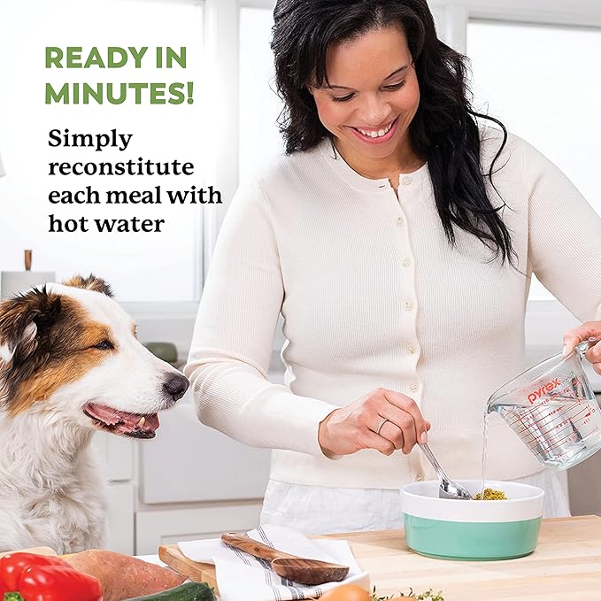 Dr. Harvey's Beef & Garden Veggies Dog Food, Whole-Grain Dehydrated Dog Food with Freeze-Dried Beef (5.5 Ounces, Trial Size)