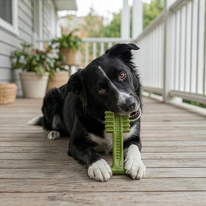 SPOT Bam-Bones Plus Toothbrush Dog Chew Toy for Medium Dogs 30-60 lbs, Bamboo & Nylon Dental Chew with Mint & Baking Soda, T-Bone Shape for Moderate to Heavy Chewers, 6 Inch