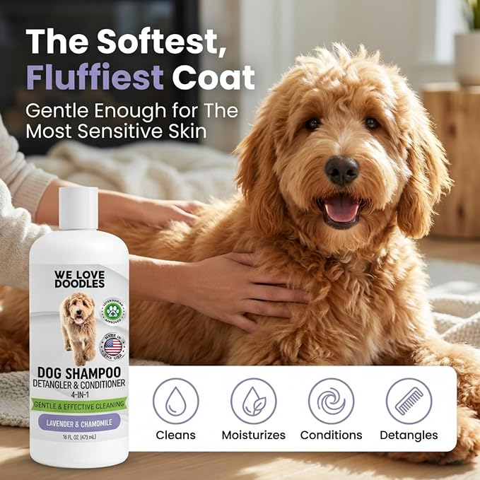 Dog Shampoo and Conditioner & Detangler - Best Goldendoodles, Poodles & Doodle Shampoo for Smelly Dogs - Sensitive Skin Puppy Shampoo - Made in The USA, Goldendoodle Must Haves (Shampoo & Conditioner)