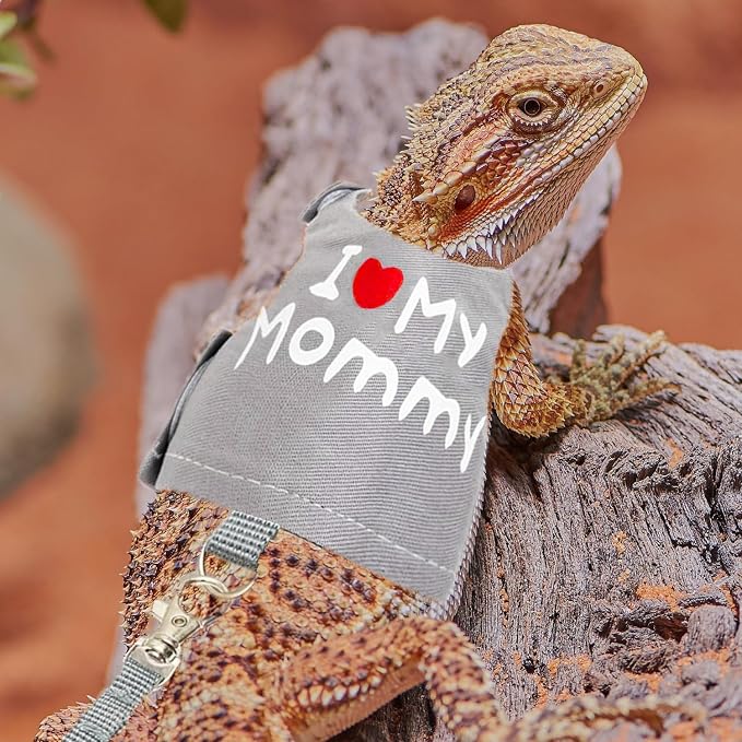 Bearded Dragon Travel Backpack Carrier with Reptile Thermometer and Humidity Gauge Lizard Travel Cage Space Capsule Clear Bubble Window Astronaut Reptile Bag for Ball Python (Green, Backpack+I LSH)
