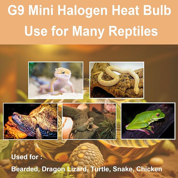G9 Heat Lamp Bulbs for Reptile,Day White, Mini Halogen Bulb 25W, Infrared Reptile Heat Lamp for Bearded Dragon Gecko Turtle Lizard, Pack of 2