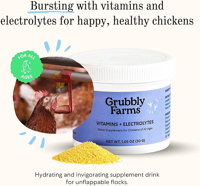 Grubbly Farms Supplements Bundle - Layer Calcium, Probiotics+Prebiotics, Vitamins+Electrolytes & Omega Mix - Complete Nutrition Support, Strong Eggshells & Digestive Wellness for Laying Hens