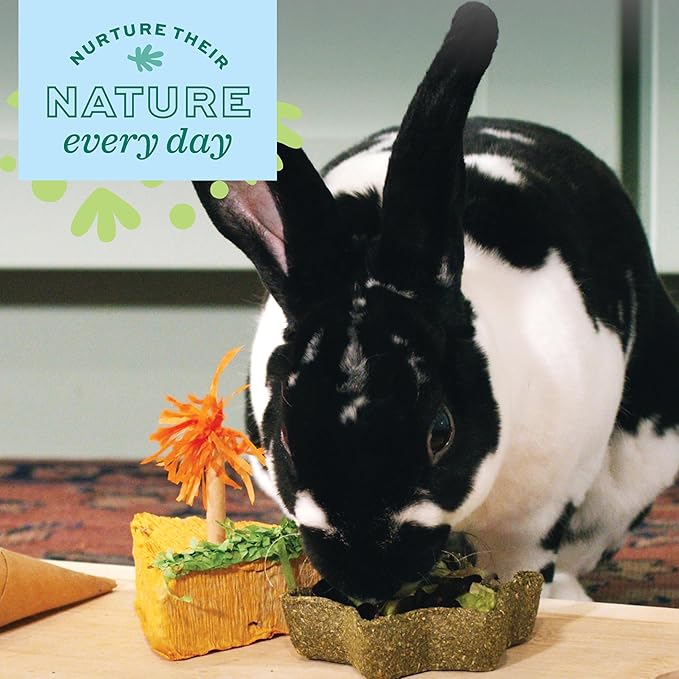 Oxbow Enriched Life Timothy Star Dish, Timothy Hay Chew, Small Animal Toy for Rabbits, Guinea Pigs, Hamsters, Gerbils, and Chinchillas, Enrichment Accessory, Safe Chew Toy, Hay Play Dish