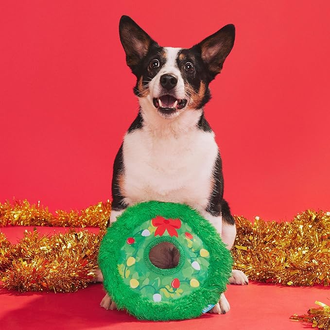 Barkbox Get Lit Wreath Plush Dog Toy - Fetch & Fling Chew Toy Disc with T-Shirt Rope and Crinkle Layers of Dogs and Puppies