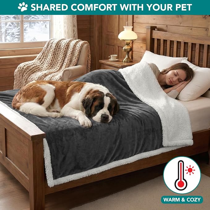 PetAmi Dog Blanket for Small Medium Dogs and Cats, Soft Sherpa Fleece Pet Blanket Throw for Puppies Kittens, Reversible Plush Couch Cover Protector Sofa Bed Crate, Machine Washable, 60x40, Dark Gray