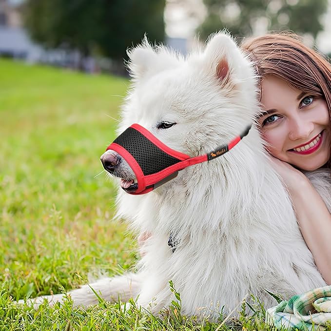 HEELE Dog Muzzle,Soft Nylon Muzzle Anti Biting Barking Chewing,Air Mesh Breathable Drinkable Adjustable Loop Pets Muzzle for Small Medium Large Dogs 4 Colors 4 Sizes (Red, XL)