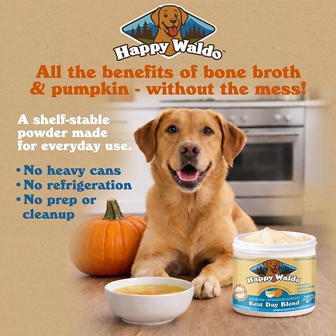 Bone Broth Dog Food Topper – Firm Stool Support, Digestion & Gut Health, Picky Eater Friendly with Pumpkin, Probiotics & Digestive Enzymes