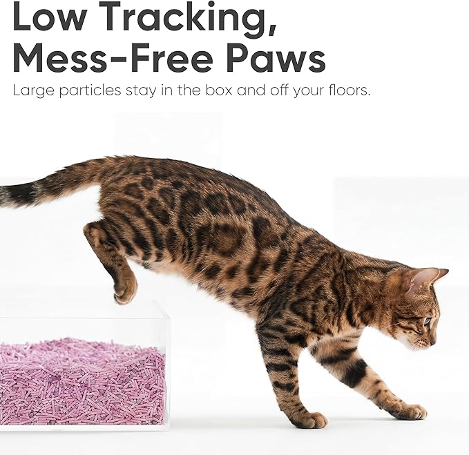 FUKUMARU Tofu Cat Litter, 12lb - Lavender Scent, Firm Clumping, Natural Odor Control, Low Dust, Flushable Plant-Based Pellets, 6lb x 2 Bags