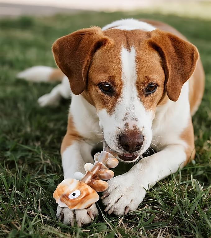 Tough Dog Toys Indestructible Dog Toys for Aggressive Chewers Real Beef Flavored, Dog Bone for Medium/Large Dogs Breed,Keep Your Dog Busy