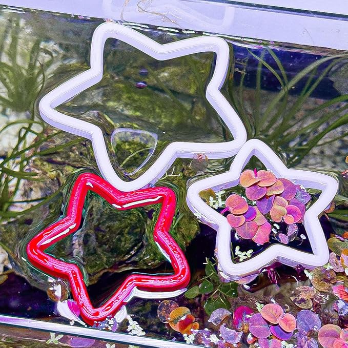 Fish Feeding Portals for Betta & Aquariums | Floating Food Rings & Breathing Windows (Multiple Shapes & Colors) (Star - Clear)