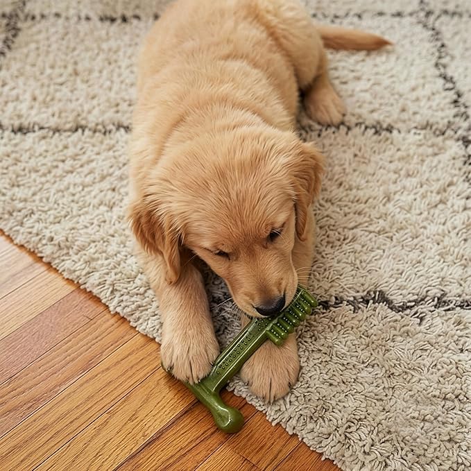 SPOT Bam-Bones Plus Toothbrush Dog Chew Toy 2-Pack for Small Dogs 10-30 lbs, Bamboo & Nylon Dental Chew with Mint & Baking Soda, T-Bone for Moderate to Heavy Chewers, 4 Inch