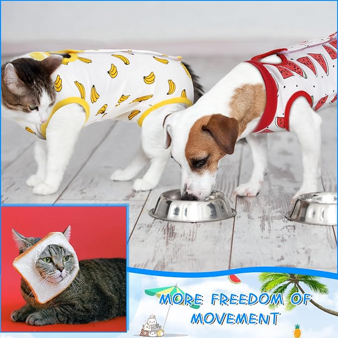Kacctyen 6 Set Cat Recovery Suit After Surgery Female and Male Cat Kitten Surgery Suit E Collar Alternative Pajama Kitty Clothes for Spay Abdominal Skin Anti Licking(Fruit,Large)