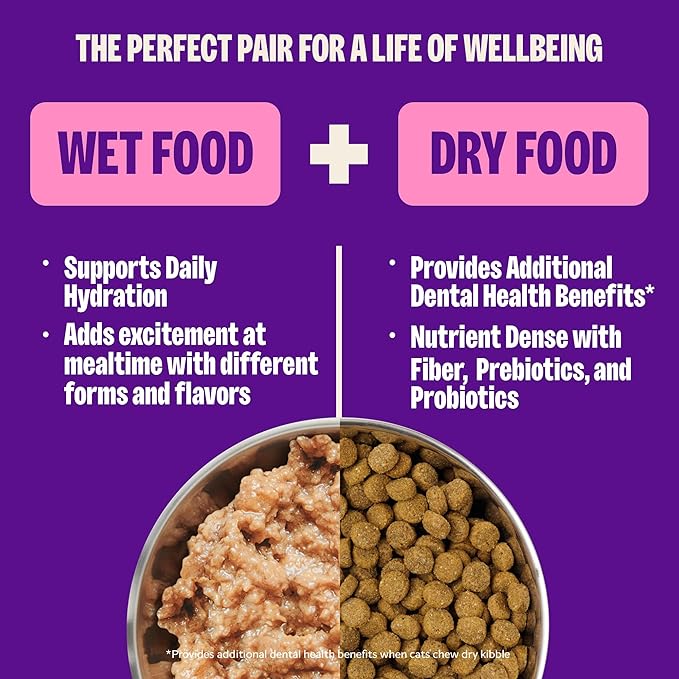 Wellness Complete Health Pate Variety Pack Adult Canned Wet Cat Food, Natural, Protein Rich, Grain Free, Chicken and Turkey Favorites, 3 oz, Pack of 24 Cans