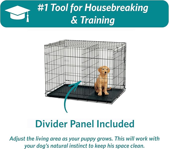 MidWest Homes for Pets 22-Inch iCrate for Extra-Small Breeds, Up to 15 lbs, Double Door Folding Dog Crate with Divider Panel, Leak-Proof Tray & Secure Latches, Portable, Durable & Easy to Assemble