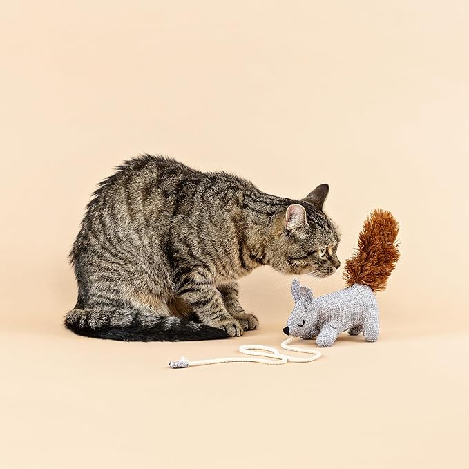 Fringe Studio ONE TUFF NUT Teaser Cat Toy, PetShop Collection (717001)