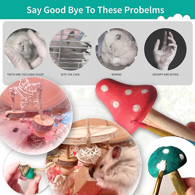 13 PCs Hamster Toys for Hamster, Gerbils, Mice, Rats, and Other Small Animals - Natural Molar Chew & Play Toys to Induce Teeth Grinding, Reduce Boredom and Depression
