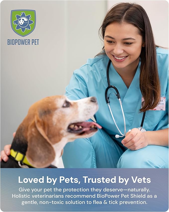 Shield Tag - Natural Flea & Tick Repellent Collar Tag for Dogs & Cats - Waterproof, Lasts 12 Months - Stainless Steel Pendant - Small Tag (<10 Lbs)
