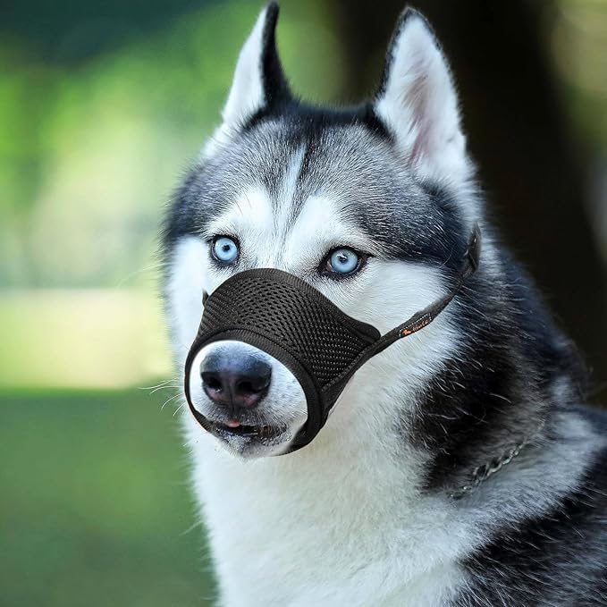 HEELE Dog Muzzle,Soft Nylon Muzzle Anti Biting Barking Chewing,Air Mesh Breathable Drinkable Adjustable Loop Pets Muzzle for Small Medium Large Dogs 4 Colors 4 Sizes (Black, XXL)
