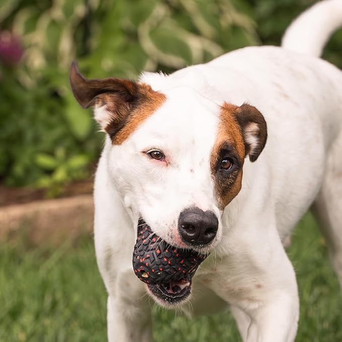 Chew King Supreme Durable Rubber Dog Toy for Aggressive Chewers, Treat-Dispensing Heavy-Duty Chew Toy with Safety Air Vent, Interactive Dog Toy for Training & Enrichment, Large 4.1" x 3.1"