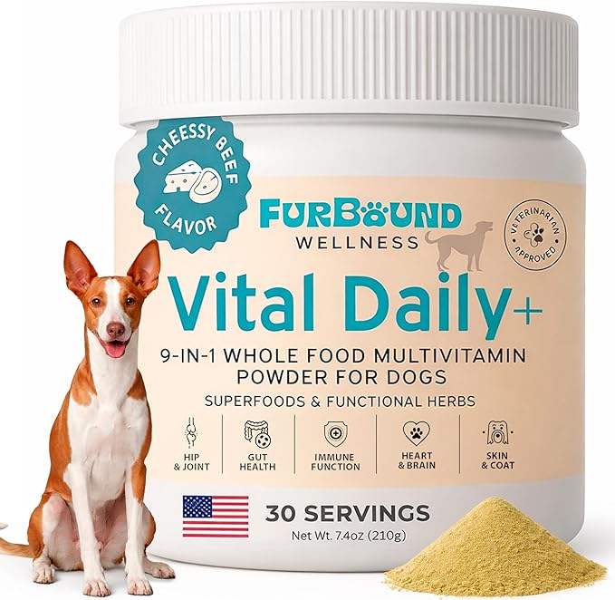 Dog Multivitamin Powder | 9-in-1 Whole Food Dog Vitamins and Dog Supplements that Supports Joint, Digestion, Skin & Coat, Immune, Cognition, Detox, Heart, Antioxidants (Cheesy Beef Flavor)