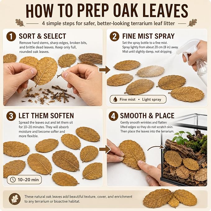 MAQIHAN Dry Oak Leaf Litter for Reptiles – 5 oz Whole Natural Oak Leaves Substrate for Isopods & Bioactive Terrarium Forest Floor Habitat, Premium Enclosure Bedding