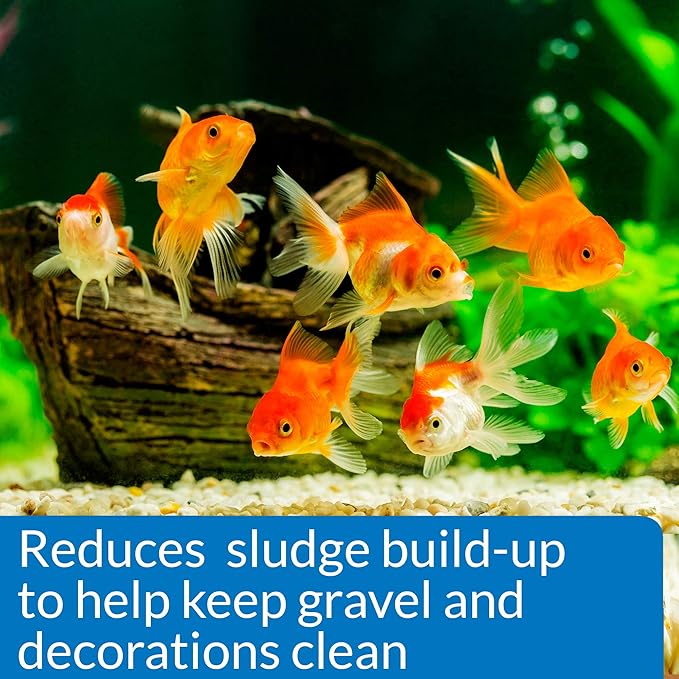 API GOLDFISH CARE PACK Aquarium Water Conditioner 1.25-Ounce Bottle