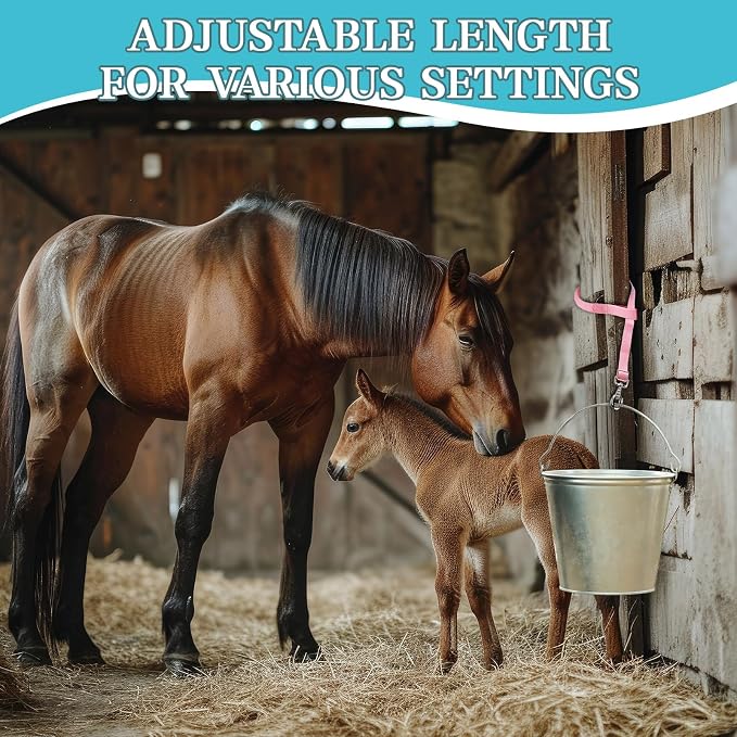 10 Pcs Horse Bucket Strap Hangers Horse Suppliers Adjustable Nylon Bucket Strap for Buckets Hay Nets Outdoor Feeders(Multicolor)