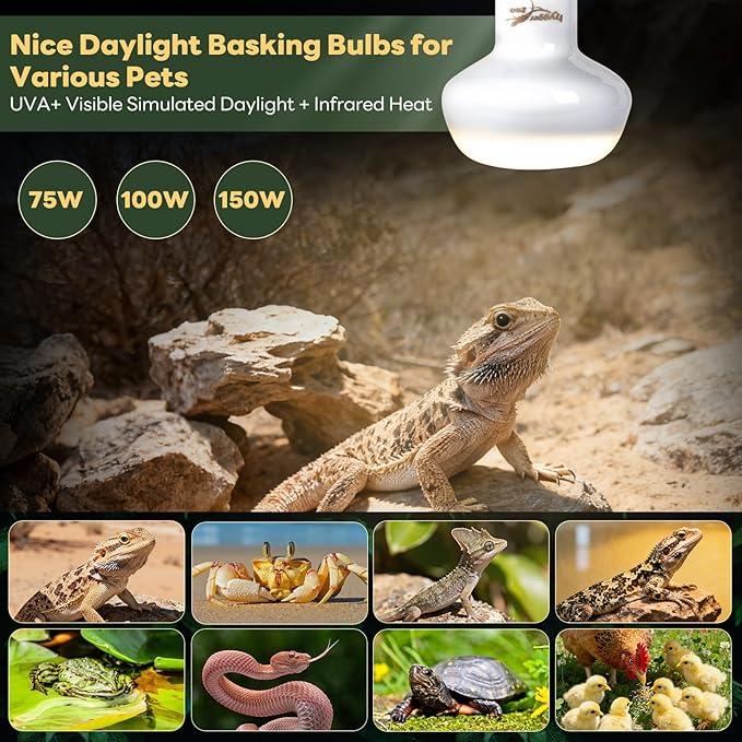 Reptile Heat Lamp, 2 Pack 100W Simulated Natural Sunlight Heat Lamp Bulbs Reptile Warm Light Lamps UVA Daylight Basking Light for Bearded Dragon Chameleon Turtle Snake Gecko Lizard Chicken, White