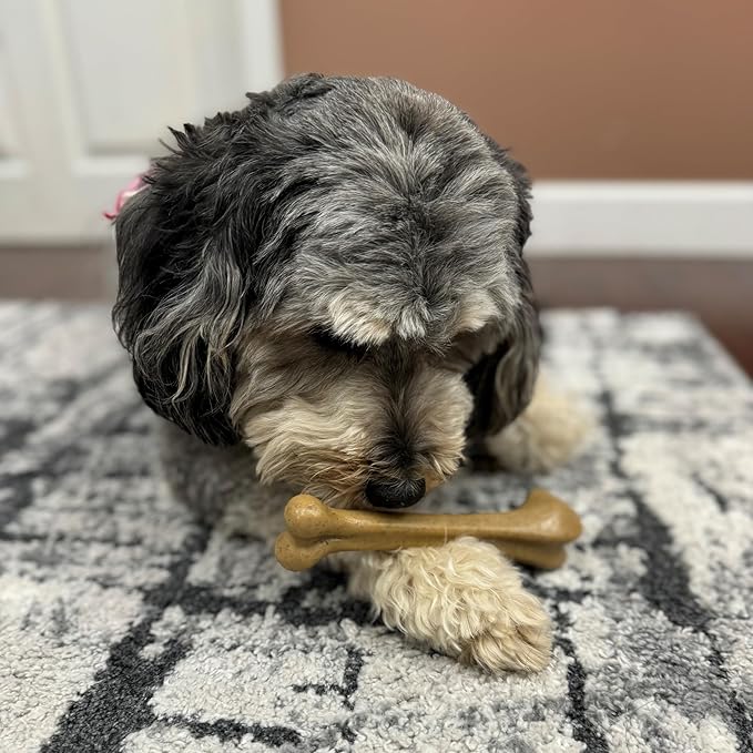 SPOT Bam-Bones Bone - Made with Strong Bamboo Fiber, Durable Long Lasting Dog Chew for Light to Moderate Chewers, Great Toy for Adult Dogs & Teething Puppies under 40lbs, 7.25in, Chicken Flavor