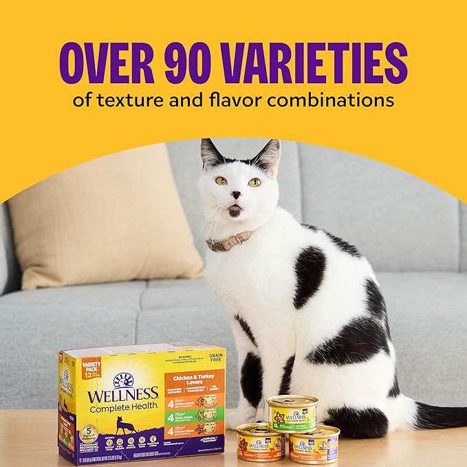 Wellness Complete Health Minced Adult Canned Wet Cat Food, Natural, Protein Rich, Grain Free, Turkey Entrée Recipe, 3 oz, Pack of 24 Cans