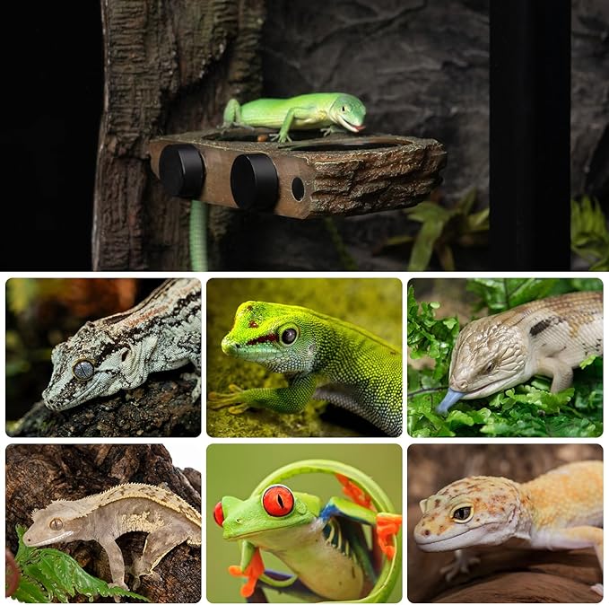 Magnetic Reptile Feeder Ledge, Crested Gecko Feeding Ledge with 6PCS Food Cups Reptile Food Dish Water Bowl Tank Accessories for Bearded Dragon Chameleon Lizard Snake