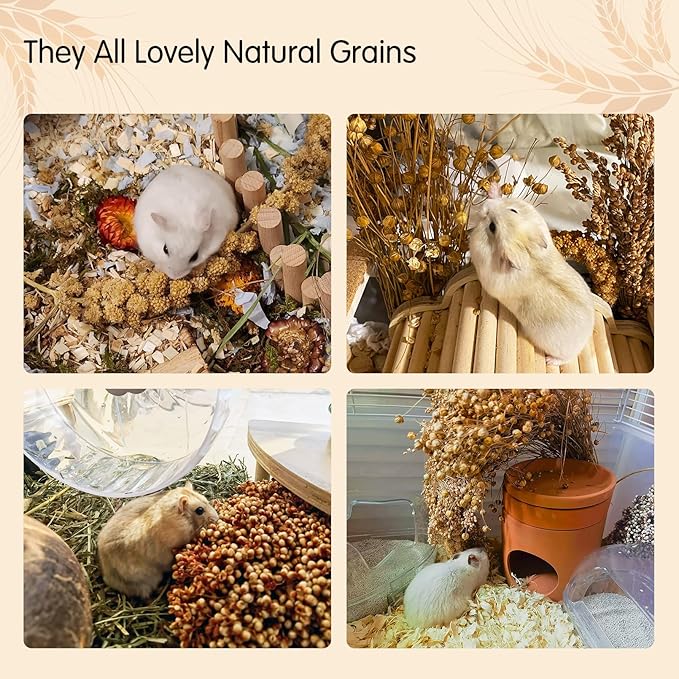 Fhiny Natural Hamster Bedding, Edible Hamster Sprays Flowers & Herbs Gerbil Habitat Enclosure Decor Grain Treats Cage Accessories for Dwarf Syrian Hamster Gerbil Mice Lemming Degus