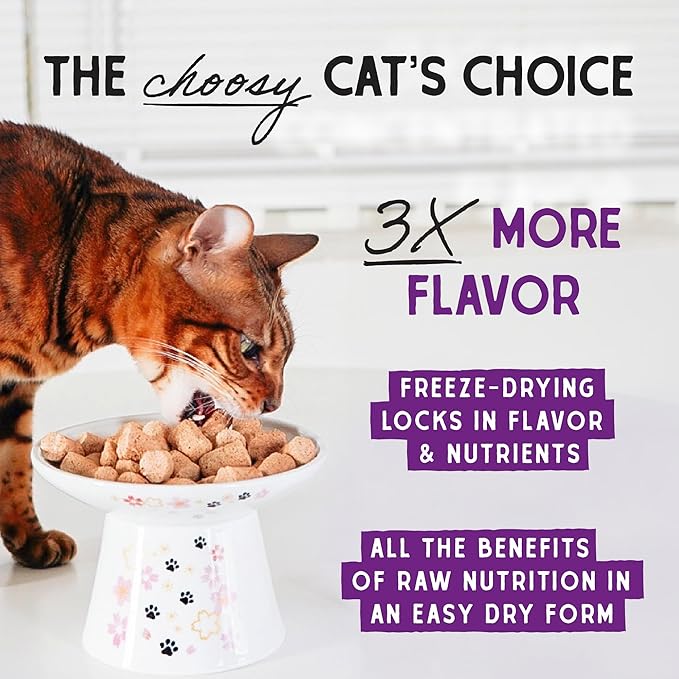Stella & Chewy's Freeze-Dried Raw Cat Dinner Morsels - Premium Salmon & Chicken Recipe with 98% Wild-Caught & Cage-Free Protein - Natural Grain-Free Cat & Kitten Food - Made in USA - 1 oz (Pack of 6)