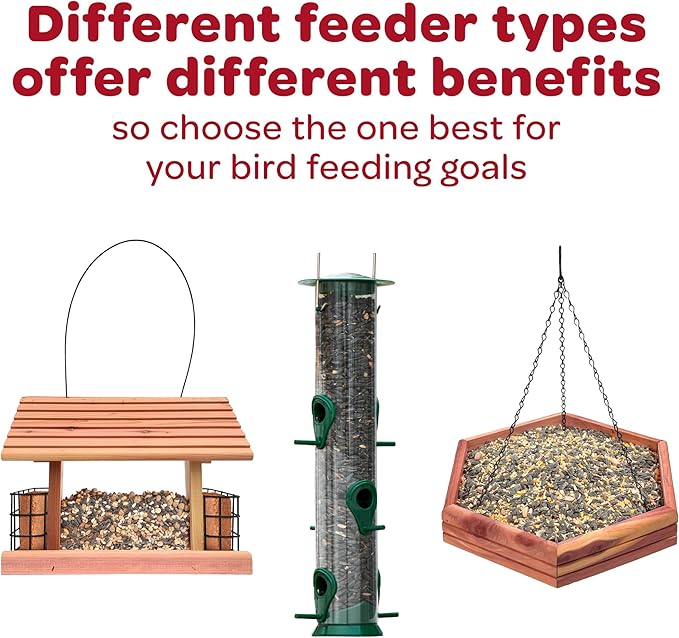 Kaytee Nyjer Wild Bird Food Seed, 5 Pound