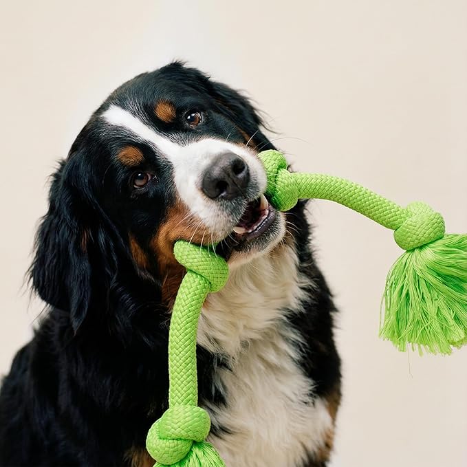 Playology Dog Toys | Dri-Tech Rope Tug of War Dog Toy for Tough Chewers | Sweet Potato Scented Mega Size Tug Rope Toys for Extra Large Dogs