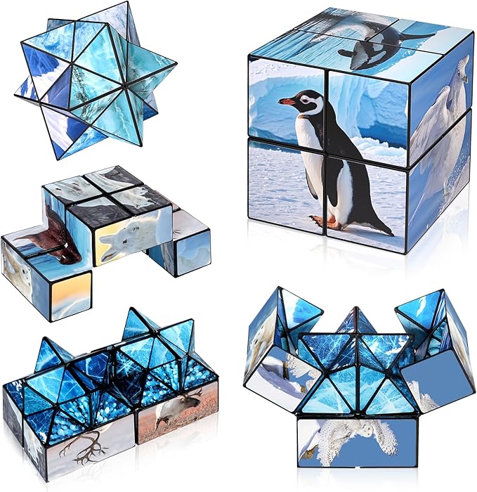 Euclidean Cube 2 in 1 Magic Cube Set, Fidget Toy for Kids Adults, Yoshimoto Cube for Ages 8-12, Arctic/Antarctic Animals Puzzle Cube Fun Toy for Boys Girls (Polar Series)