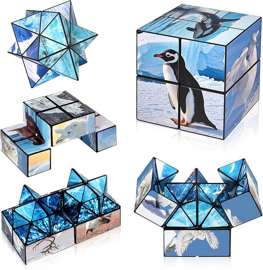 Euclidean Cube 2 in 1 Magic Cube Set, Fidget Toy for Kids Adults, Yoshimoto Cube for Ages 8-12, Arctic/Antarctic Animals Puzzle Cube Fun Toy for Boys Girls (Polar Series)