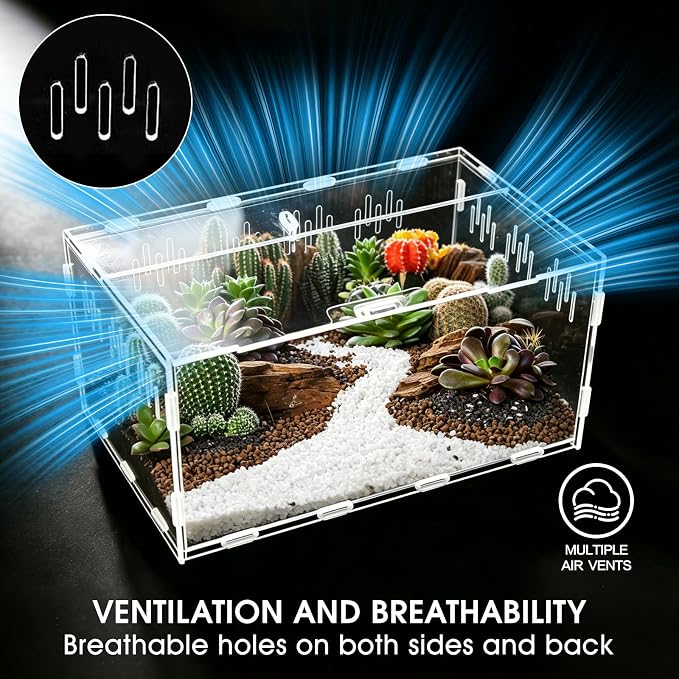 Jumping Spider Enclosure, Insect Terrarium, Bug Cage, Acrylic Terrarium for Tarantula, Snail, Praying Mantis, Frog, and Small Reptiles, Includes Tweezer and Bowl, (11.8" x 7.8" x 5.9")