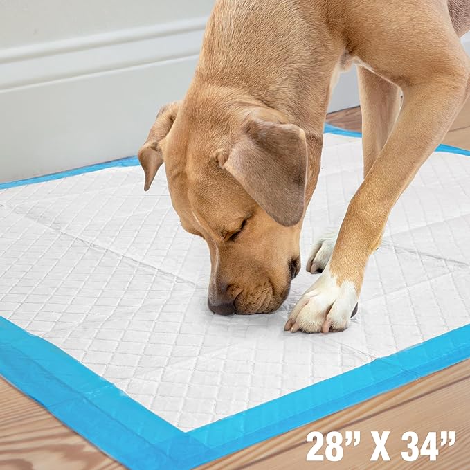 Four Paws Wee-Wee Superior Performance Pee Pads for Dogs with Runoff Barrier Edge Guard Protection, Puppy & Dog Potty Training Pads, Housebreaking Supplies, 28" x 34" (6 Count)