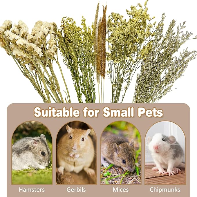 Fhiny Natural Hamster Bedding, Flower & Herb Hamster Bedding Mate Hamster Sprays Gerbil Habitat Decor Accessories for Dwarf Syrian Hamster Gerbil Mouse Mice Degus Lemming or Other Small Pets