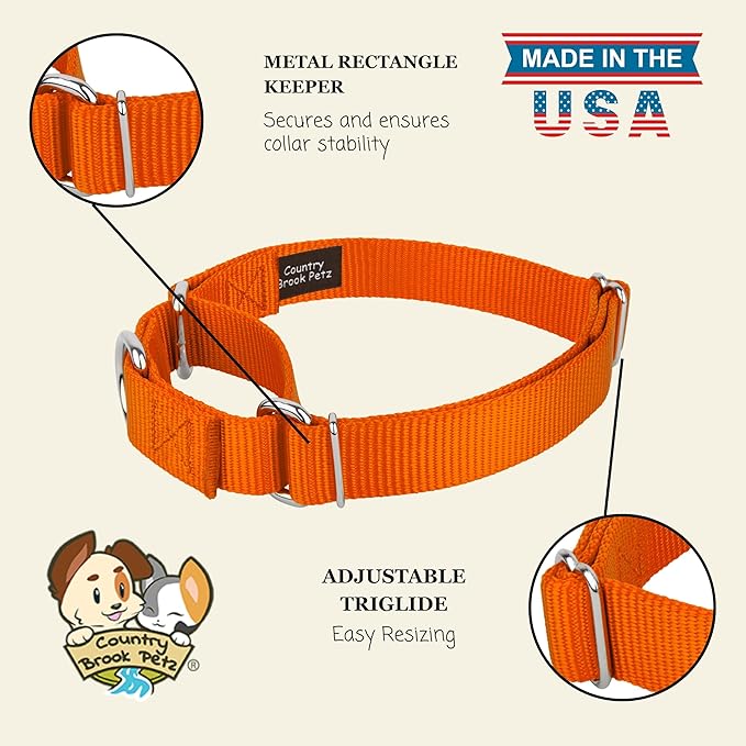 Country Brook Petz - Martingale Dog Collar - Heavy-Duty Training Collar with No Buckle - Service Dog Collar for All Pups - 20 Vibrant Colors (Orange, 1 Inch, Extra Large)